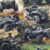 Atv