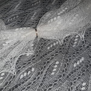 Haapsalu sall Piibelehekiri lehel